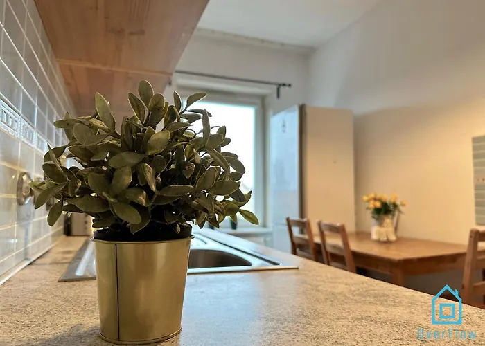 民宿 Swan -15 Minutes To Old Town & Seaside *