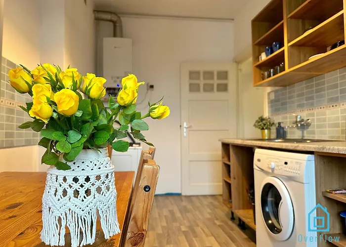 Swan -15 Minutes To Old Town & Seaside